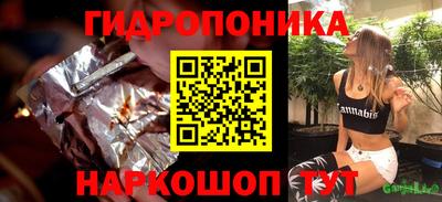 гидропоника Новозыбков