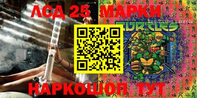 гидропоника Новозыбков