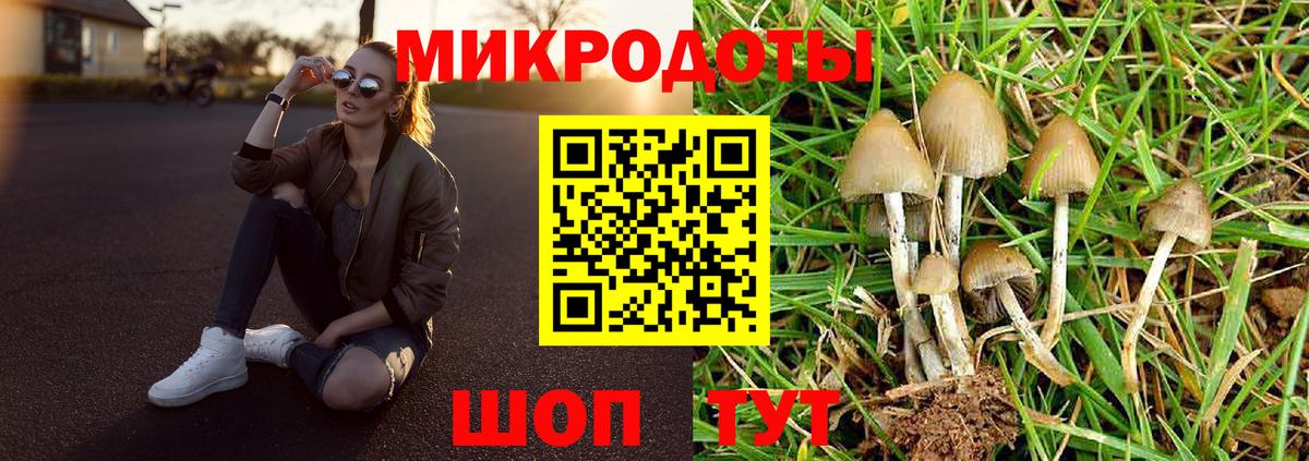 Галлюциногенные грибы мицелий  Вход с VPN  наркошоп  Ступино 