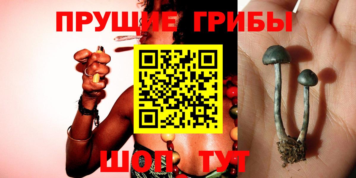 Бошки Шишки Ступино