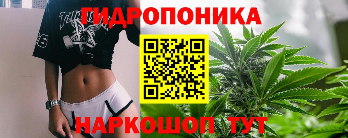 Шишки марихуана семена  Бошки Шишки MAZAR  Вход с VPN  Ступино 